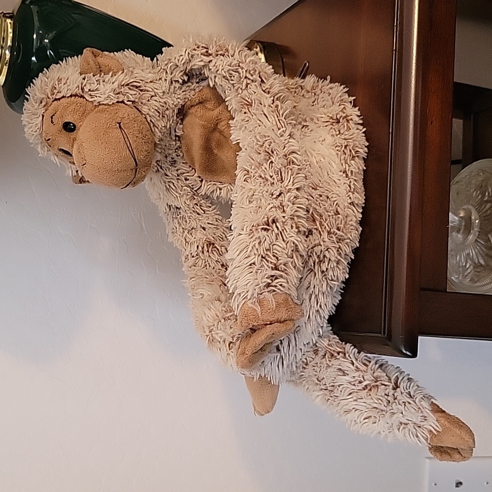 Stuffed Monkey